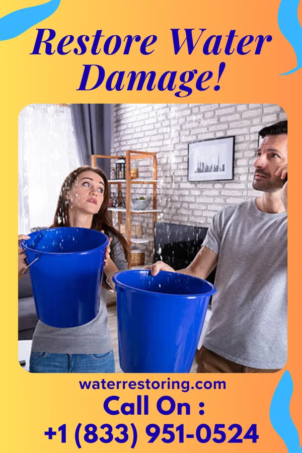 water restoration Horizon Disaster Recovery Experts La Monte