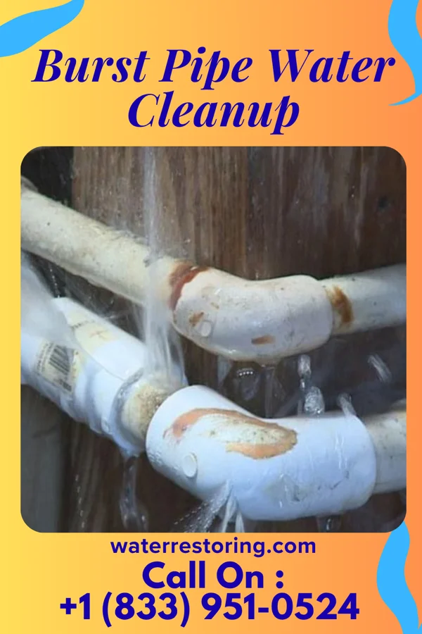 Burst Pipe Water Cleanup in La Monte, MO