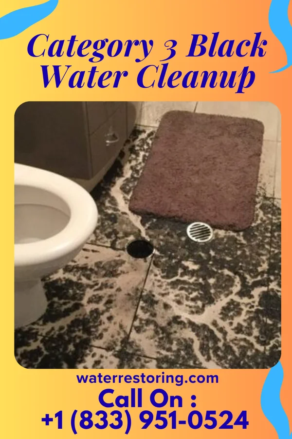 Category 3 Black Water Cleanup in La Monte, MO