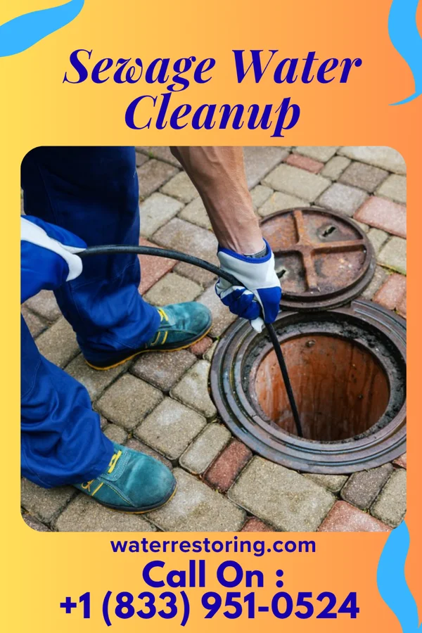 Sewage Water Cleanup in La Monte, MO